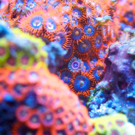 totq-2013-1-19.jpg