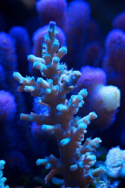 totq-2013-1-21.jpg