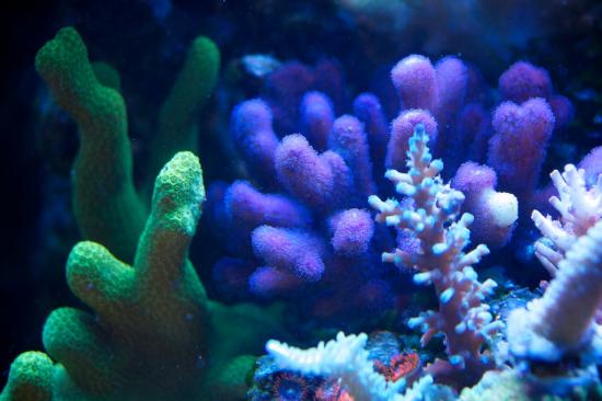 totq-2013-1-38.jpg