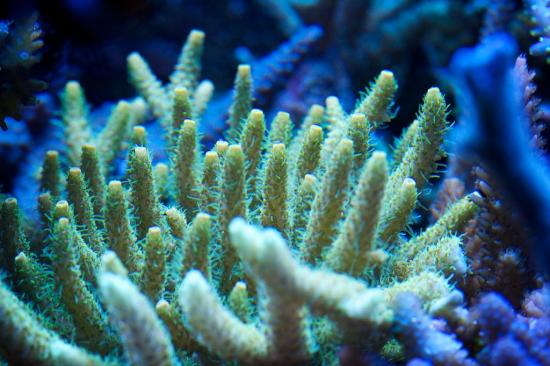 totq-2013-1-29.jpg