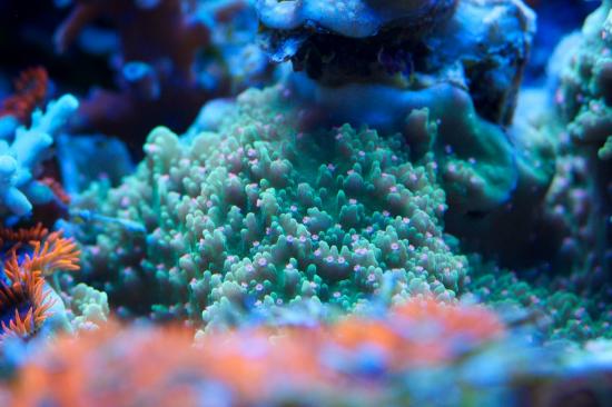 totq-2013-1-28.jpg