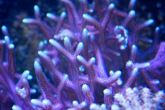 totq-2013-1-31.jpg