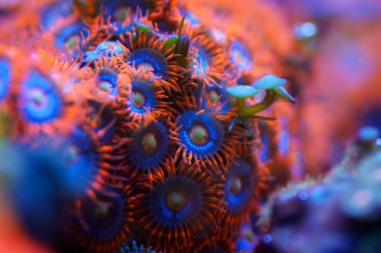 totq-2013-1-25.jpg