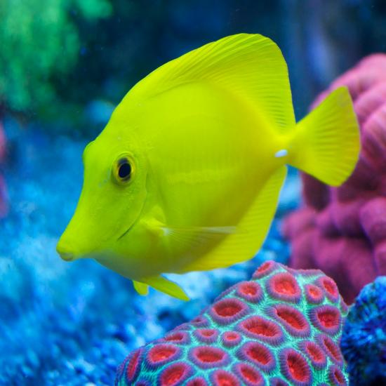 totq-2013-1-39.jpg