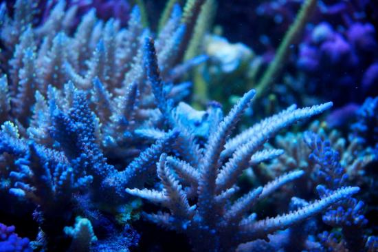 totq-2013-1-37.jpg