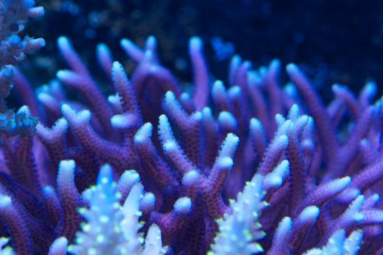totq-2013-1-30.jpg