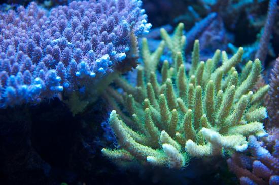 totq-2013-1-12.jpg