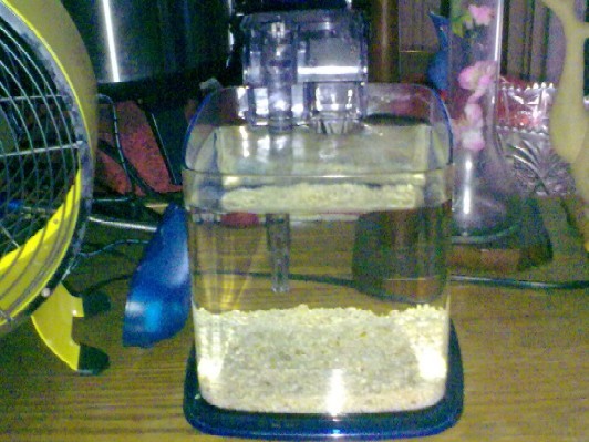 Azoo Tank