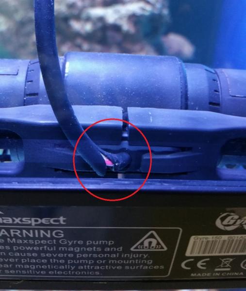 99 maxspect gyre xf