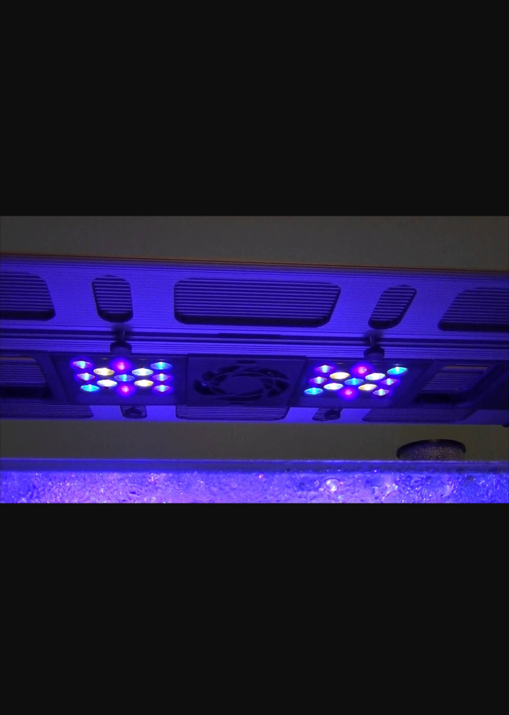 wts used maxspect razor