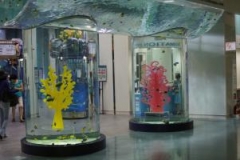 Public Aquarium Around the world