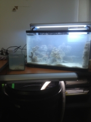 view of both sump and tank
