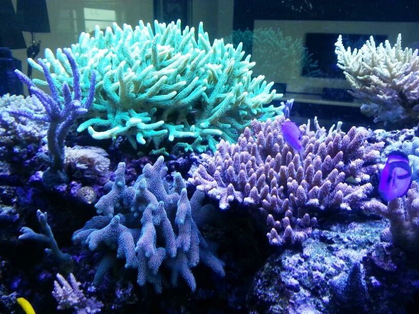 side view 4