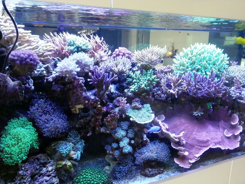 side view 2