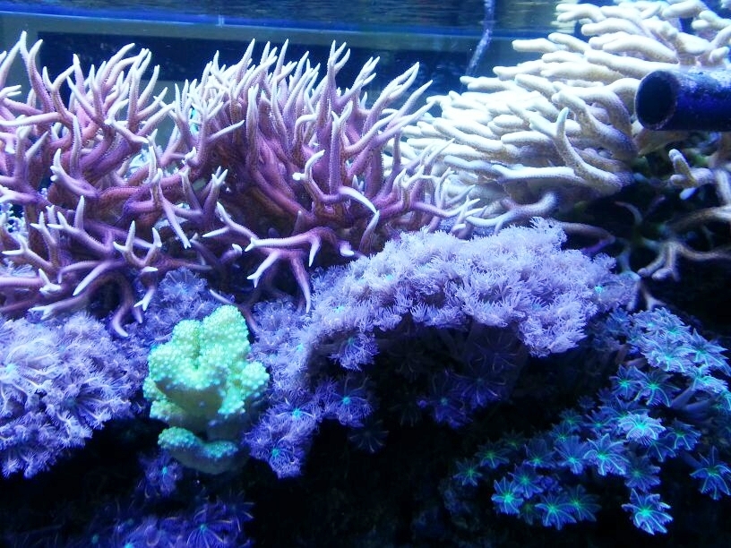 side view 5