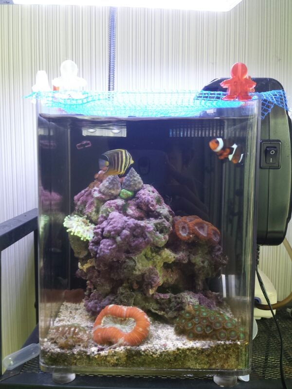 My Reef Tank!