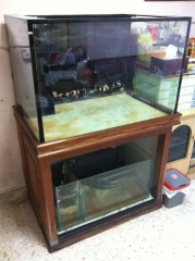 Fish Tank FOC