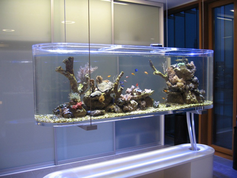 crystal glass fish tank