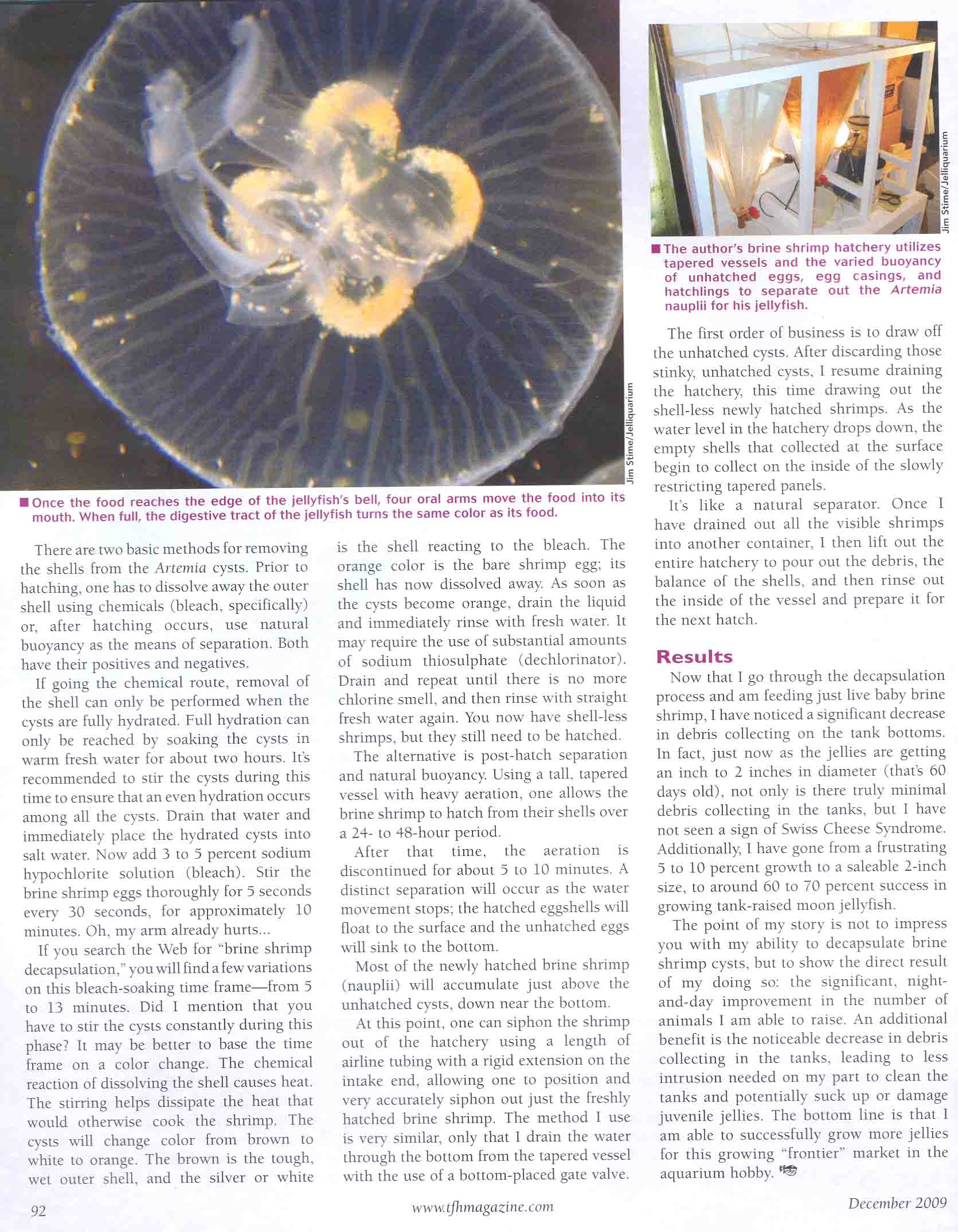 Setting up of a Jellyfish Aquarium General Reefkeeping_ Singapore