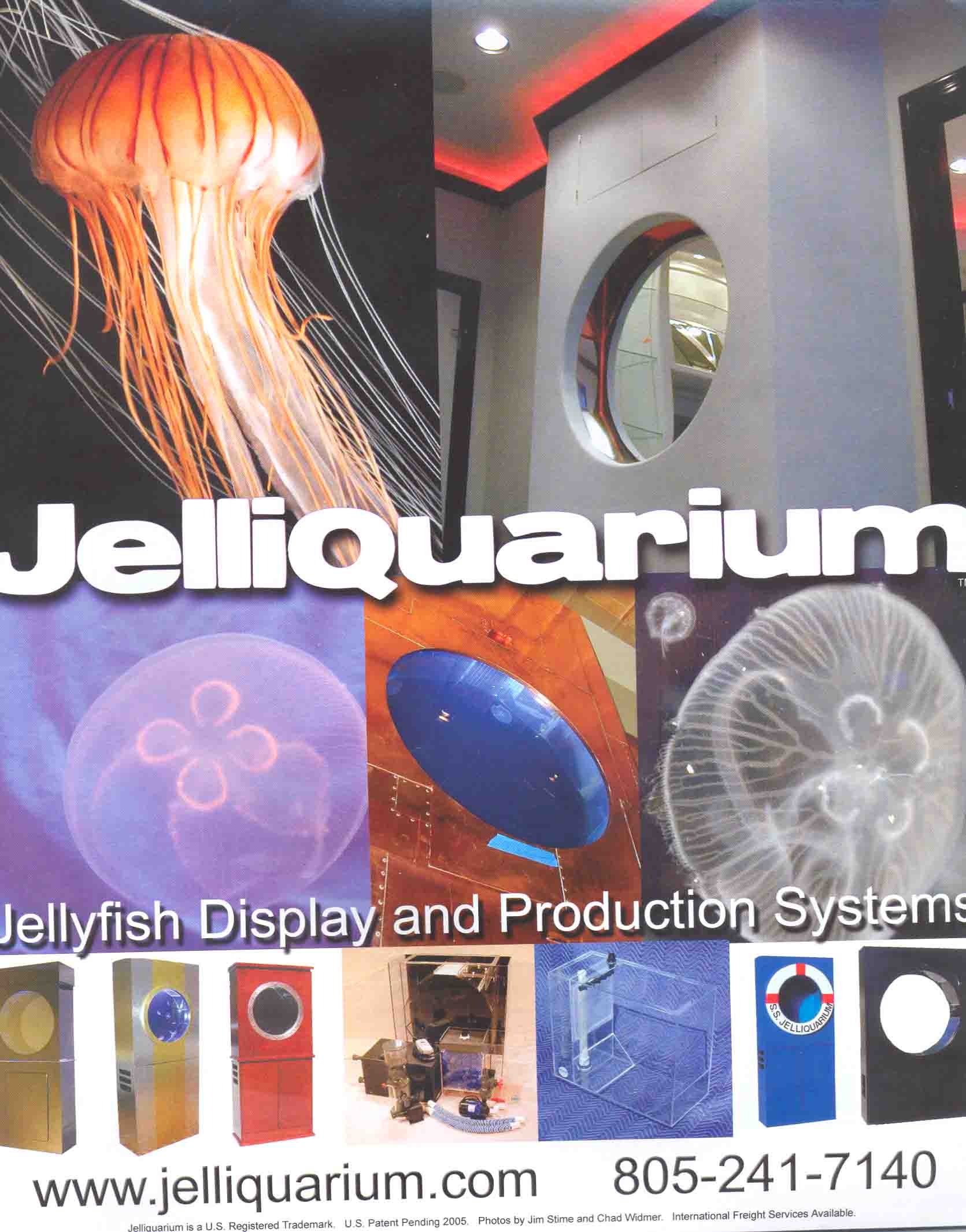 Setting up of a Jellyfish Aquarium General Reefkeeping_ Singapore