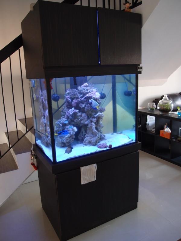 85 Gallon Rimless Aquarium, 30x24x24