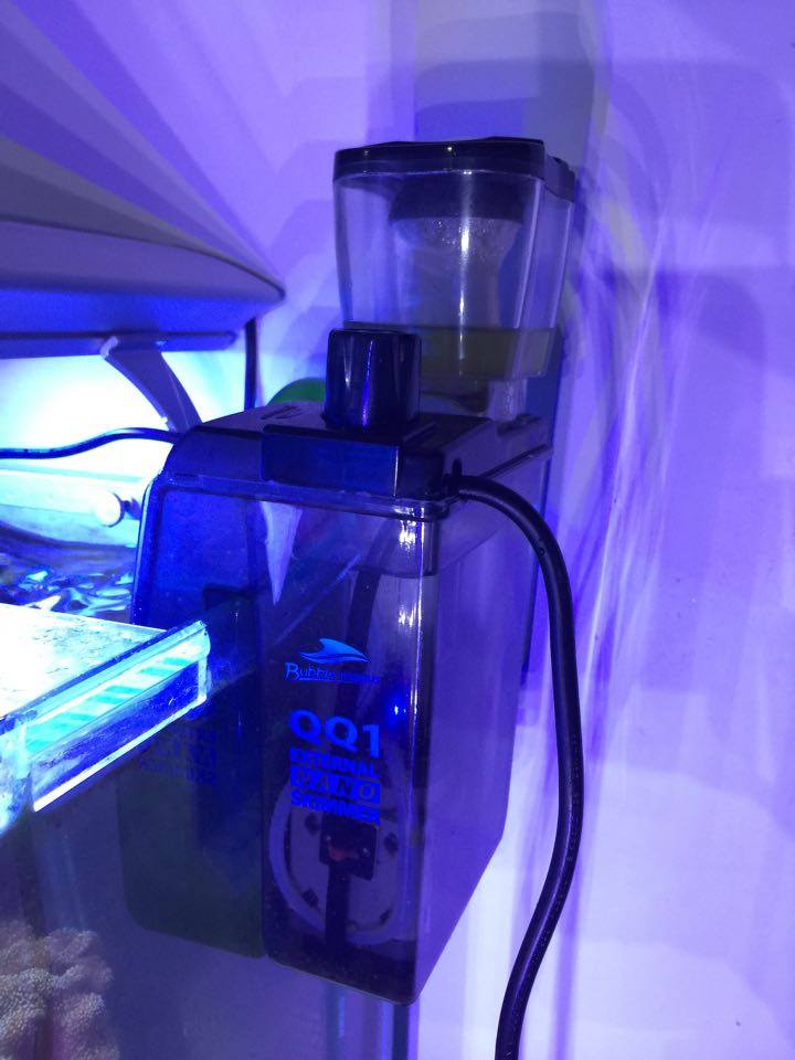 S> Tank setup with canister + Skimmer Sell off/Pasar Malam Shop