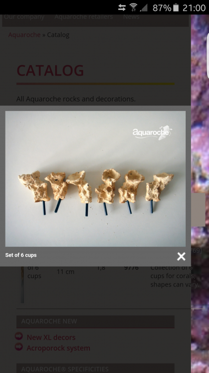 Screenshot_2015-11-30-21-00-55.png