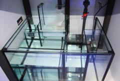 Sump-Pic.jpg