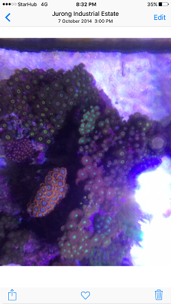 7 oct 2014 zoas garden.PNG