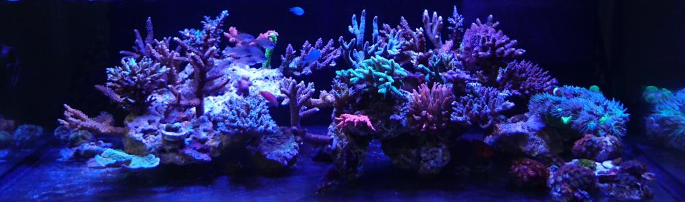 FTS 010816.JPG