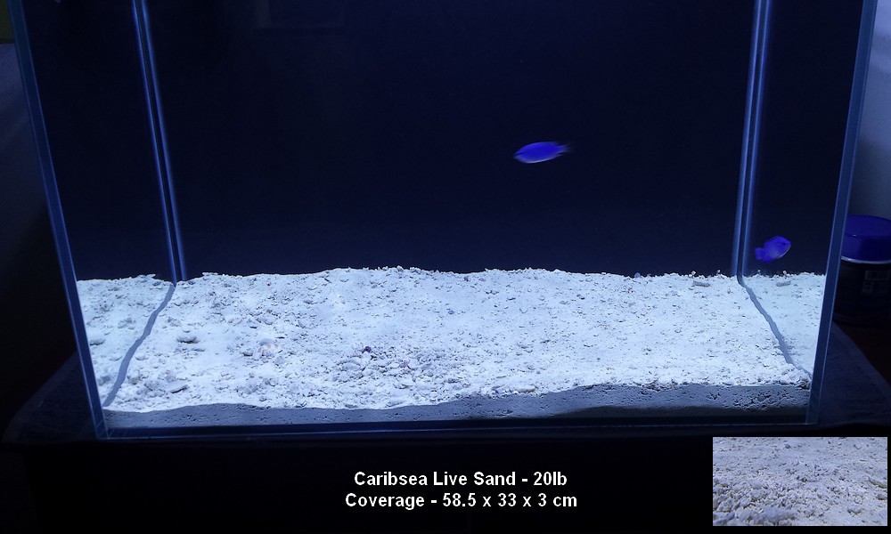 Caribsea Live sand.jpg
