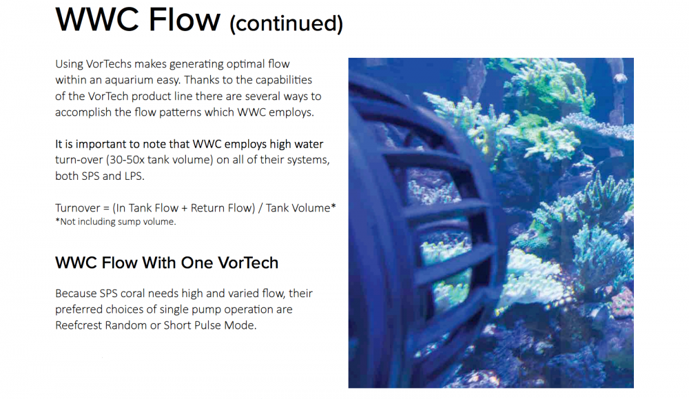 World_Wide_Corals_CoralLab.pdf19.png