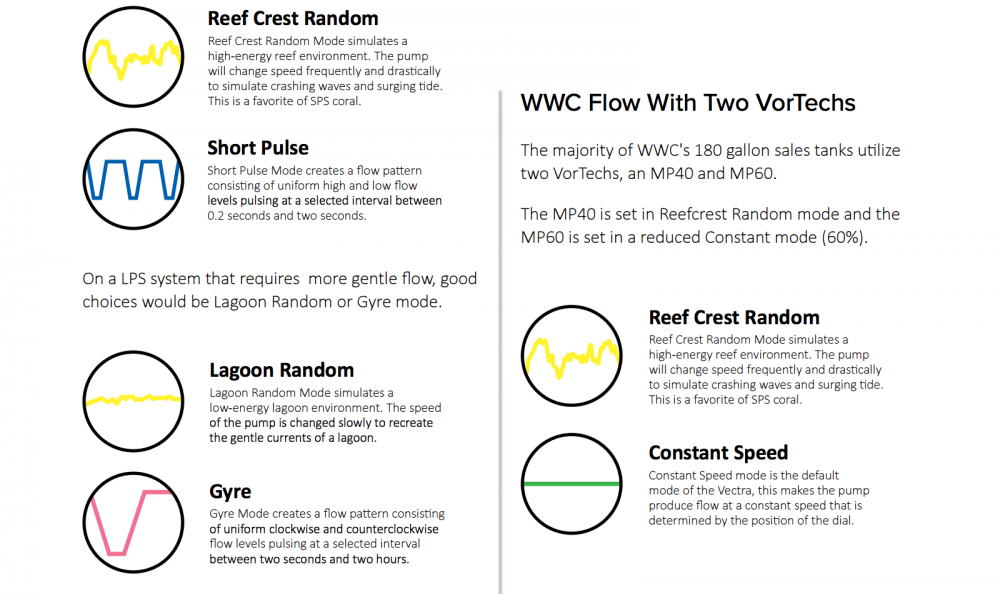 World_Wide_Corals_CoralLab.pdf20.png