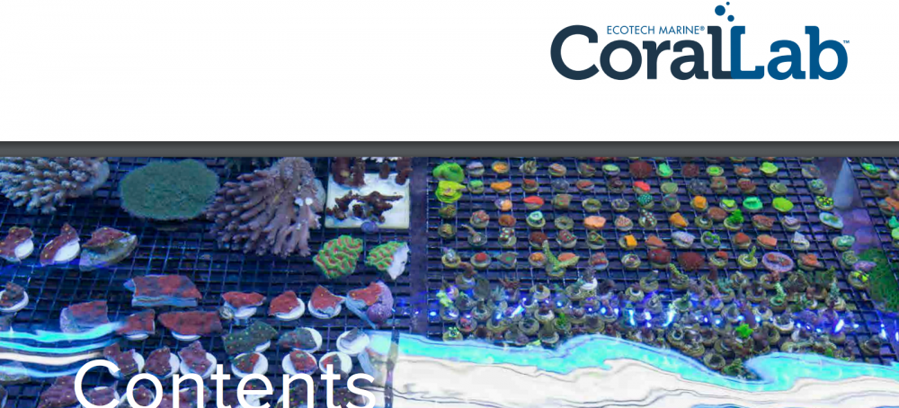 World_Wide_Corals_CoralLab.pdf2.png