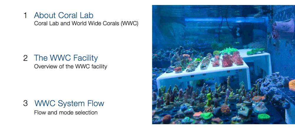 World_Wide_Corals_CoralLab.pdf3.png