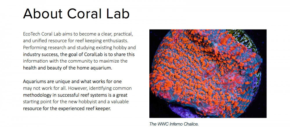 World_Wide_Corals_CoralLab.pdf5.png