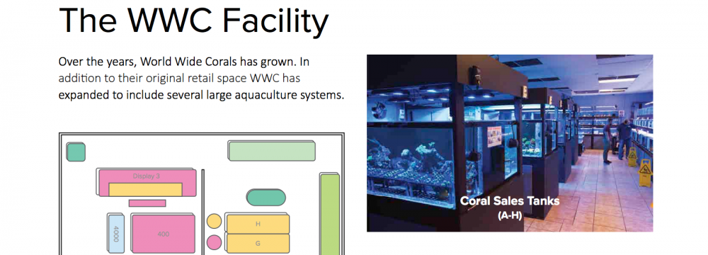 World_Wide_Corals_CoralLab.pdf8.png