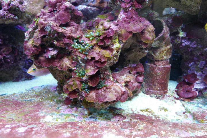 IMG-20170126-WA0012.jpg