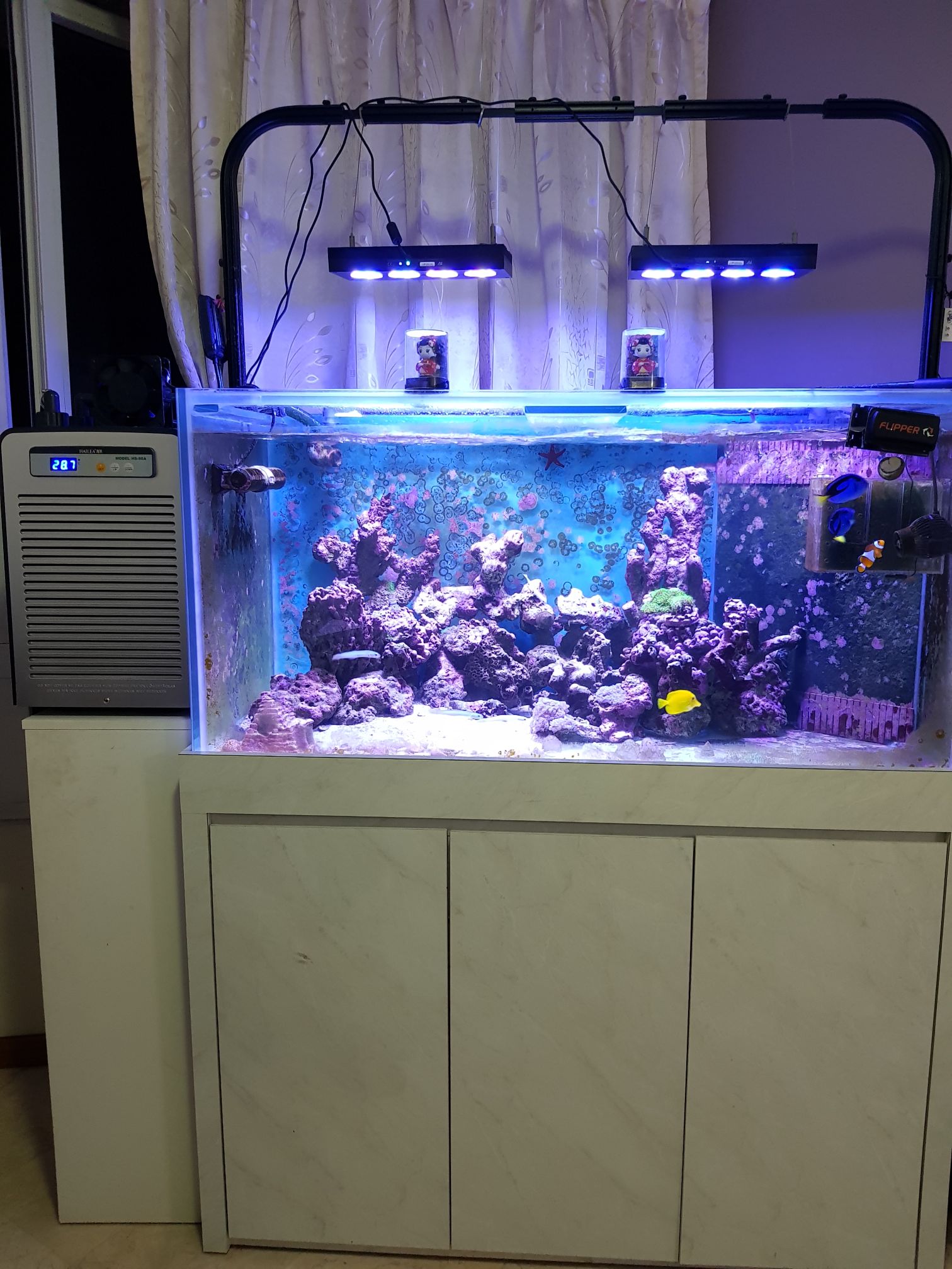 4 feet aquarium for sale malaysia