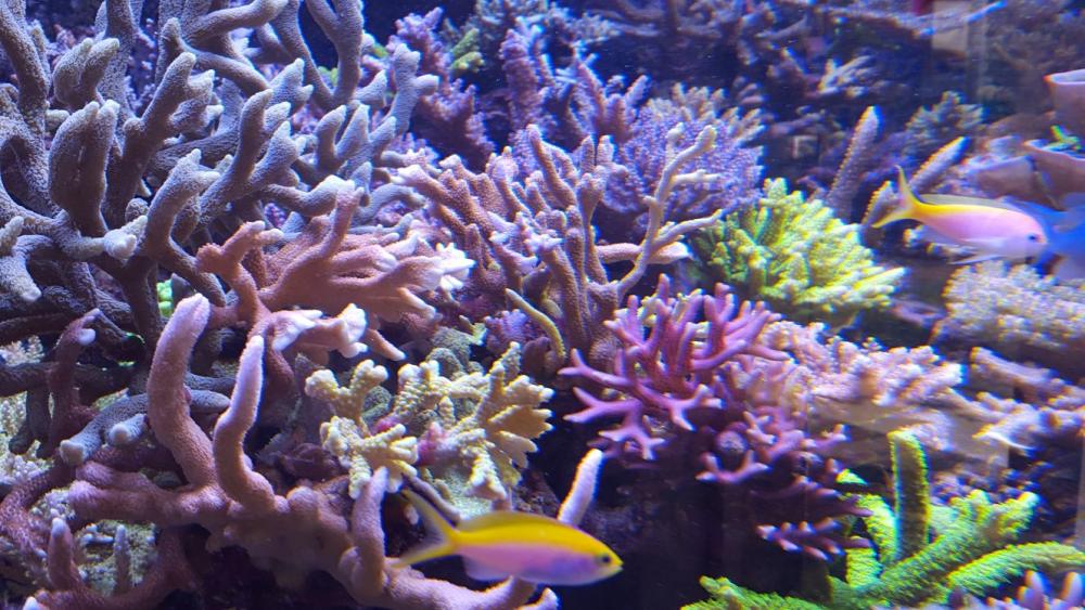 2843C1BE-3C76-4621-9CB1-3A7469E09C78.jpeg