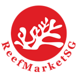 ReefmarketSG