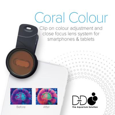 D_D-Coral-Colour-V4.jpg.dd5a25c039d7a8c23d8099866798330b.jpg