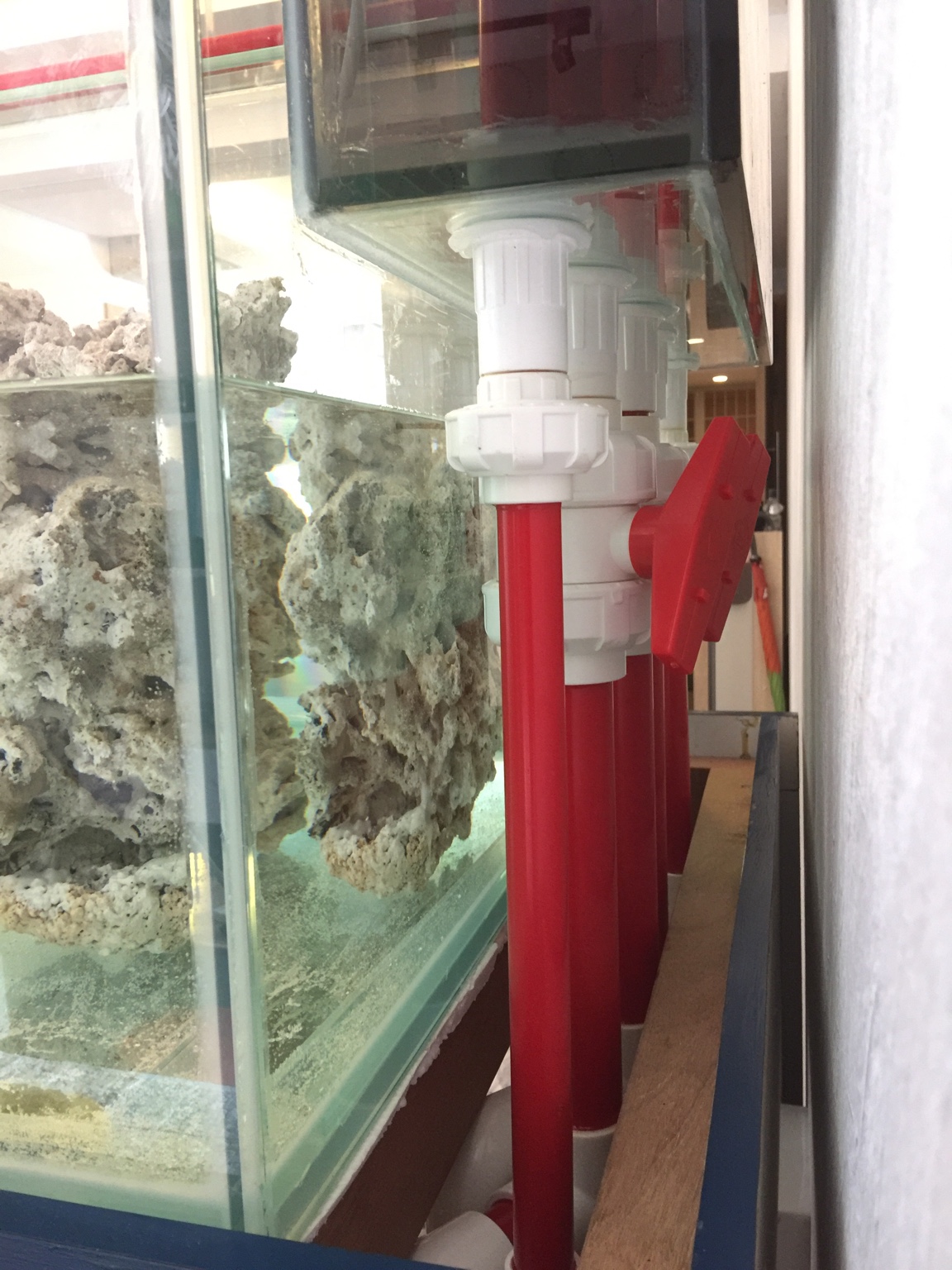 Complete piping work Aquarium Artist Singapore Reef Club marine