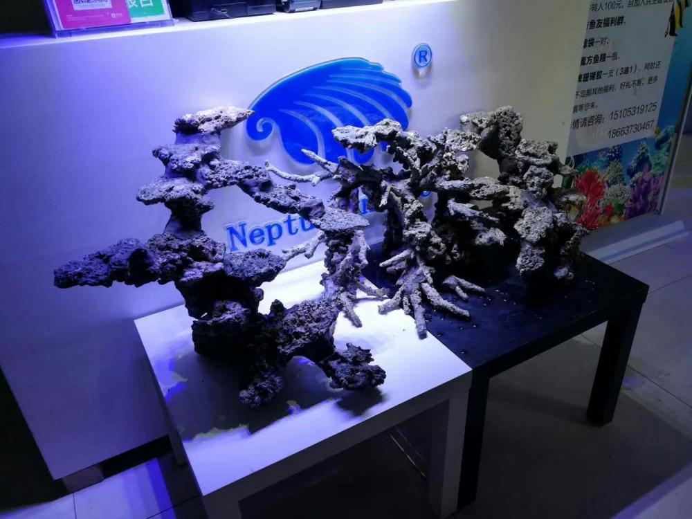 mmexport1550033908498.jpg