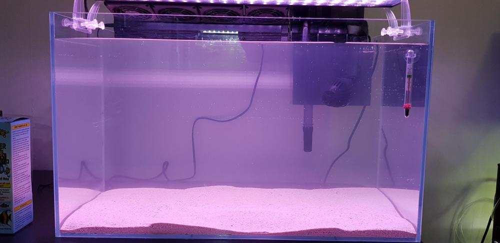 marine tank 19oct19.jpg