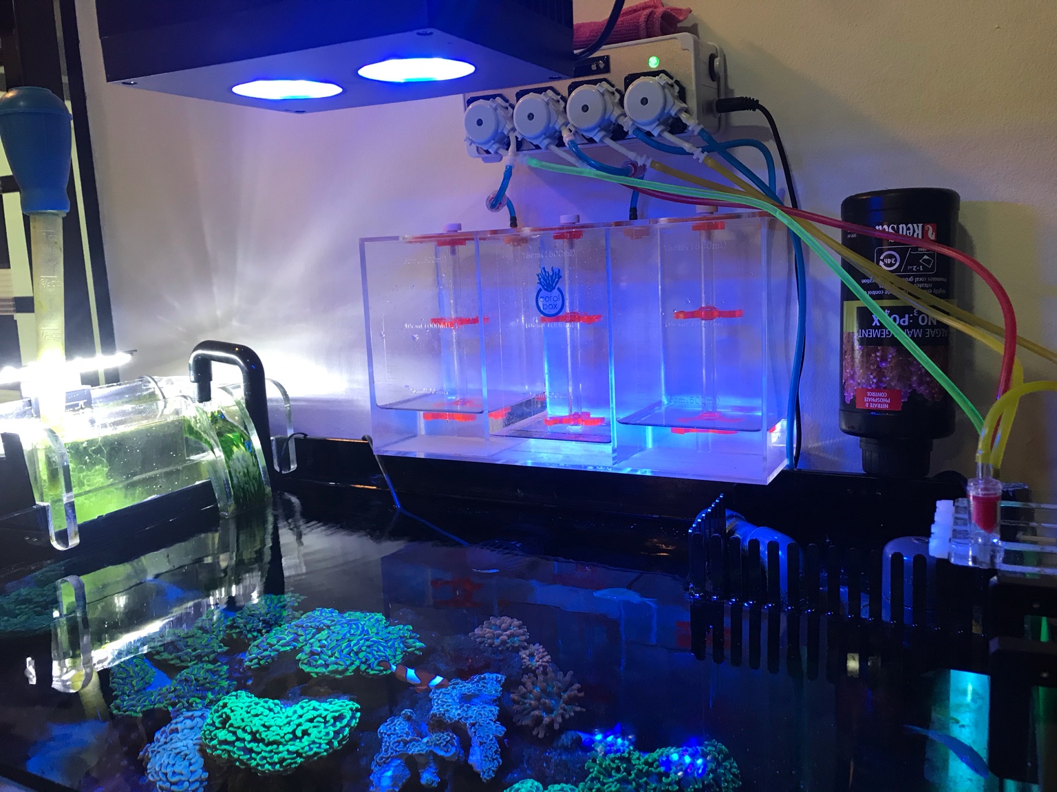 2.5ft tank / Dosing pump location DIY Forum Singapore Reef Club