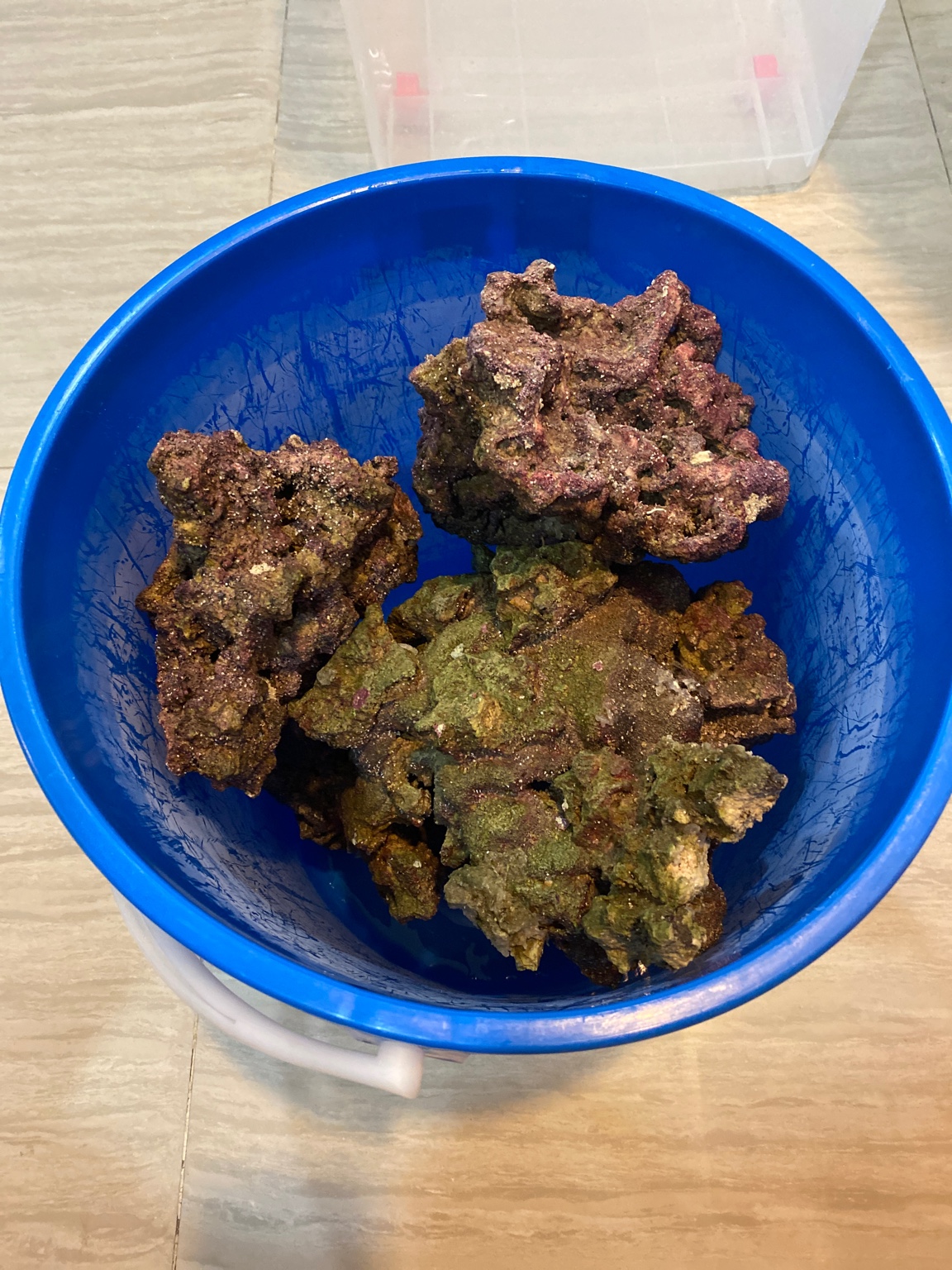 Rocas de CaribSea LifeRock & Sea Base AQ, Aquarium