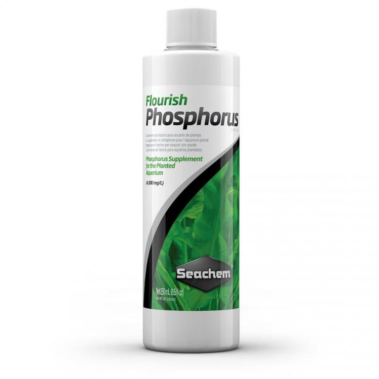 flourish-phosphorus%20(1).jpeg