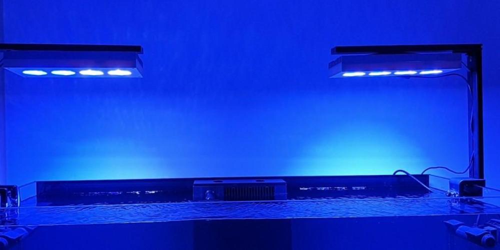 AI Hydra 52 HD Reef LED Light - Sell off/Pasar Malam Shop ...