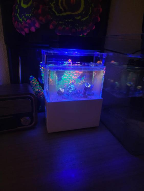 Wts eheim uv, algae scrubber, nano tank Sell off/Pasar Malam Shop